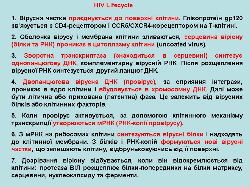 HIV Lifecycle 1. Вірусна частка приєднується до поверхні клітини. Глікопротеїн gp120 зв’язується з CD4-рецептором